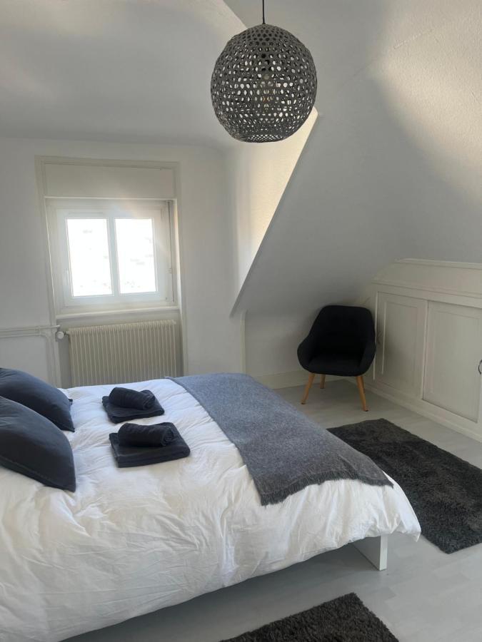 Bel Centre Climatise Parking Prive * Colmar